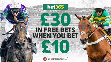 bet365 cheltenham betting